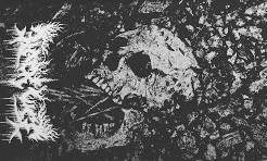 Black Vice : Tour Tape 2016